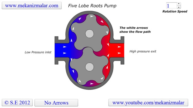 How a five lobe Roots pump works?