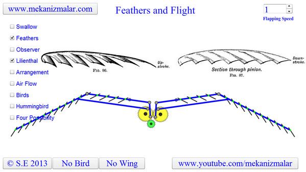 Lilienthal Wing Flaps